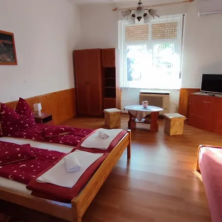 Apartment Enzo Gyula